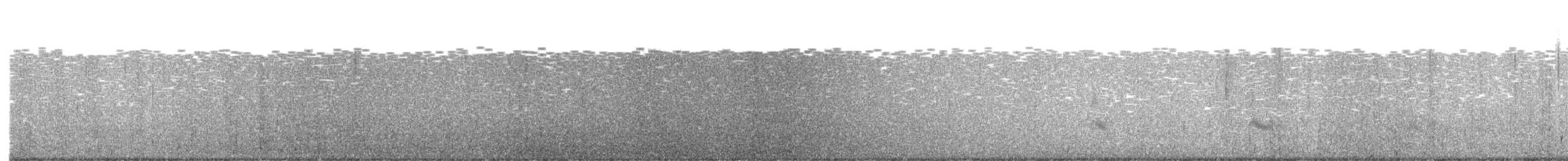 Forster's Tern - ML638230413
