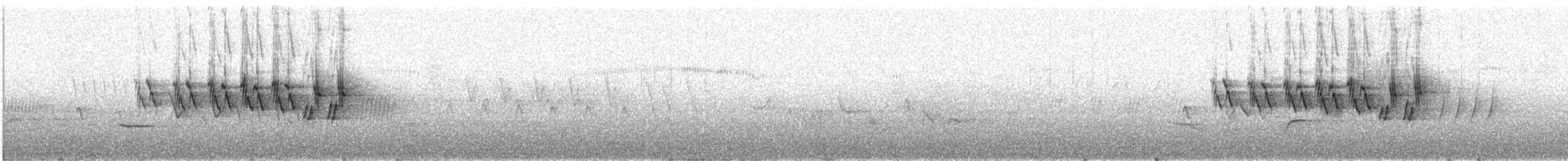 MacGillivray's Warbler - ML638230503