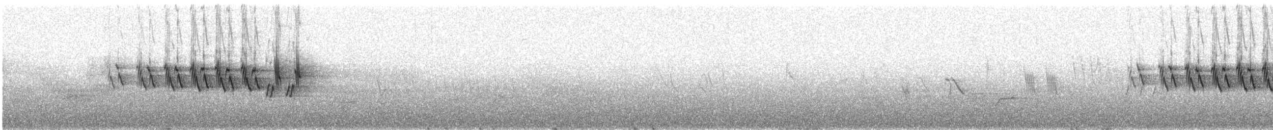 MacGillivray's Warbler - ML638230505