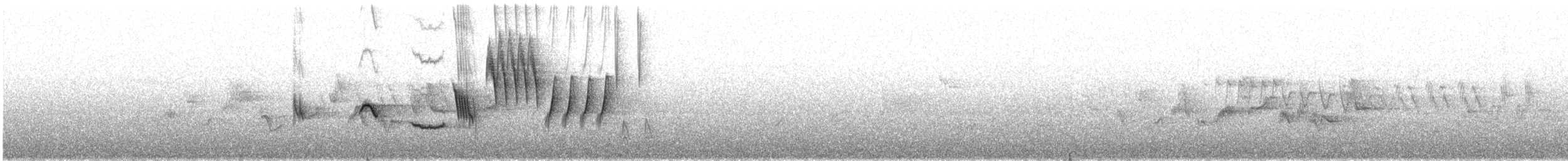 Green-tailed Towhee - ML638230531