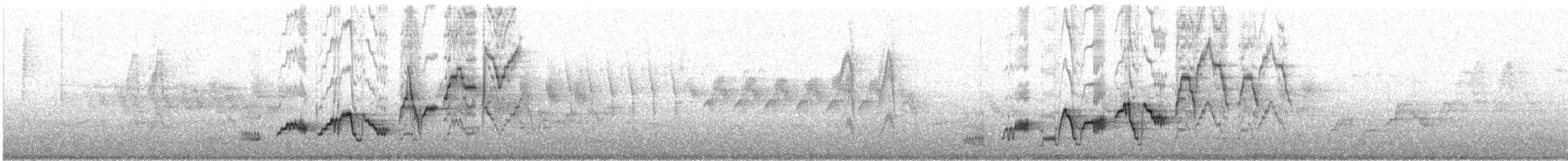 Swainson's Thrush - ML638230541