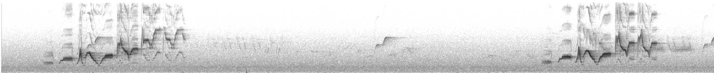 Swainson's Thrush - ML638230542