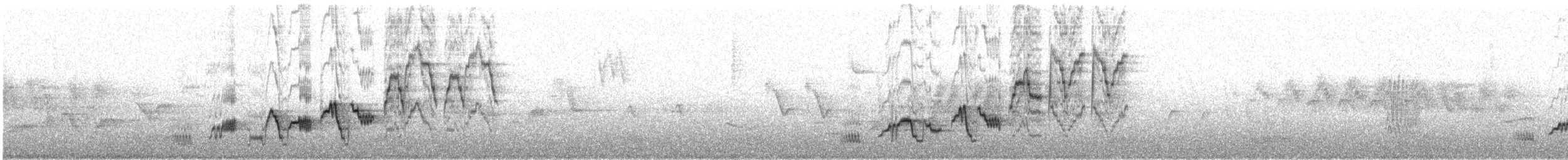 Swainson's Thrush - ML638230543