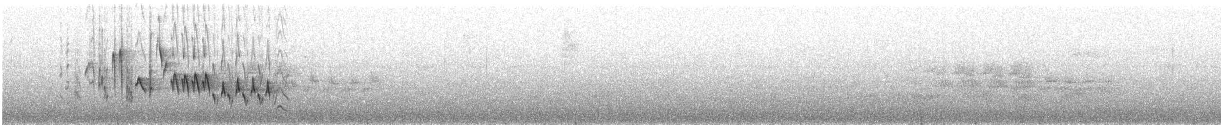 Northern House Wren - ML638230571