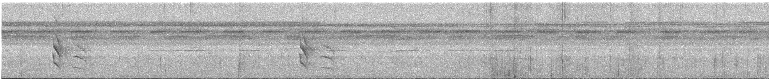 White-flanked Antwren - ML638230581