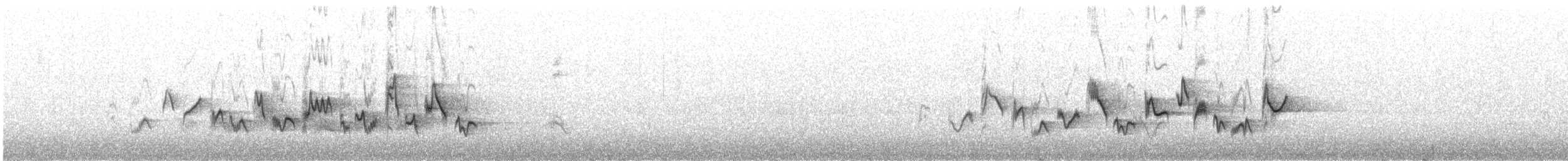 Western Warbling Vireo - ML638230613