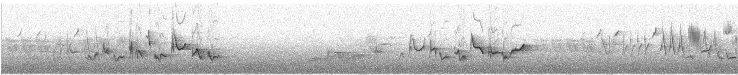 Western Warbling Vireo - ML638230614