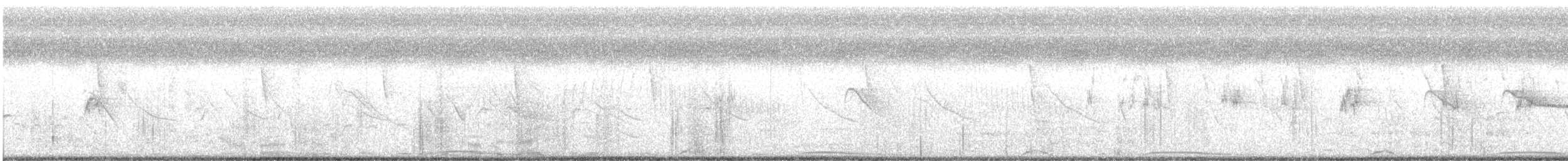 Pale-vented Pigeon - ML638231029
