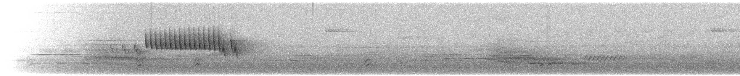 Grace's Warbler - ML638232065