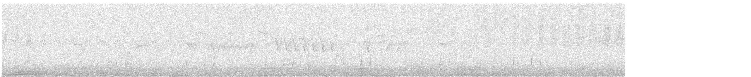 Common Quail - ML638232374