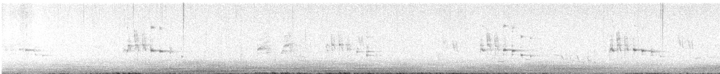 ハクトウワシ - ML638232989