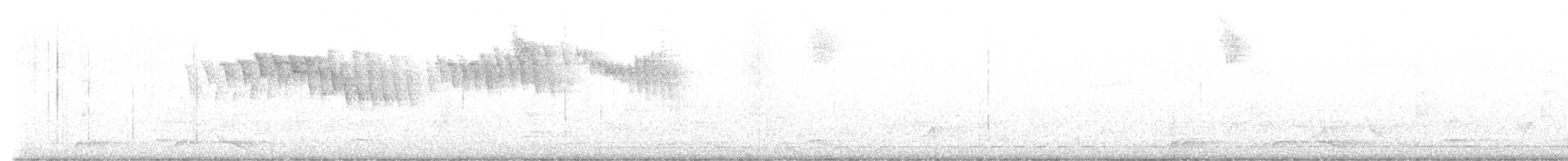 Short-tailed Antthrush - ML638233678