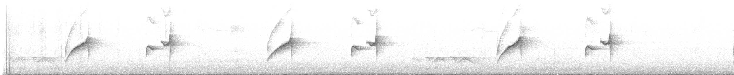 Gray-bellied Spinetail - ML638234452