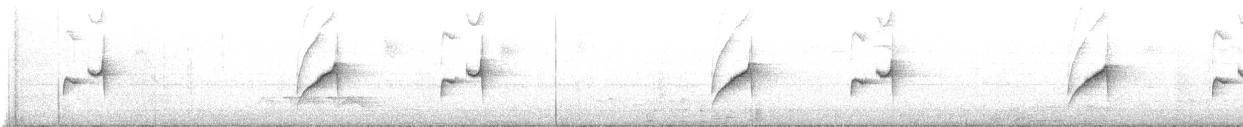 Gray-bellied Spinetail - ML638234492