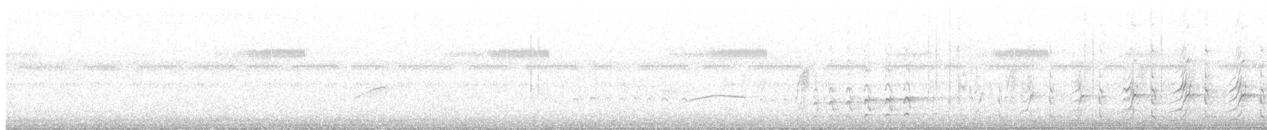ハシボソキツツキ - ML638236298