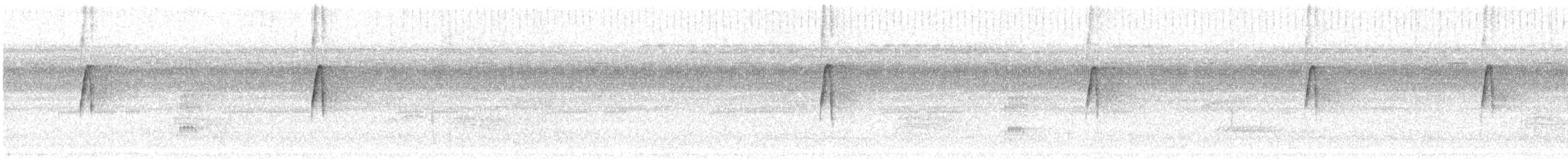 Olive-faced Flatbill - ML638237411