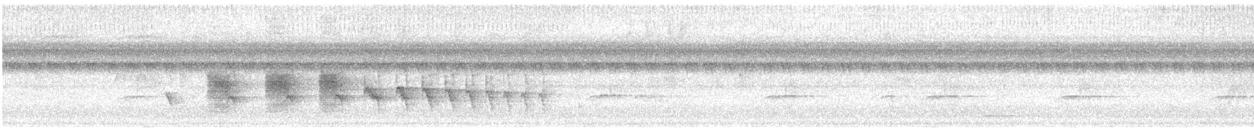 Striated Antbird - ML638239128