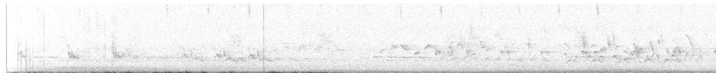 雑種 エボシガラ ｘ クロエボシガラ - ML638239712