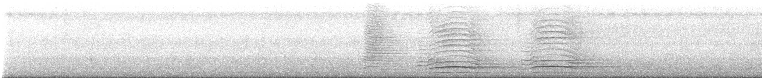 Pauma (etxekoa) - ML638240264