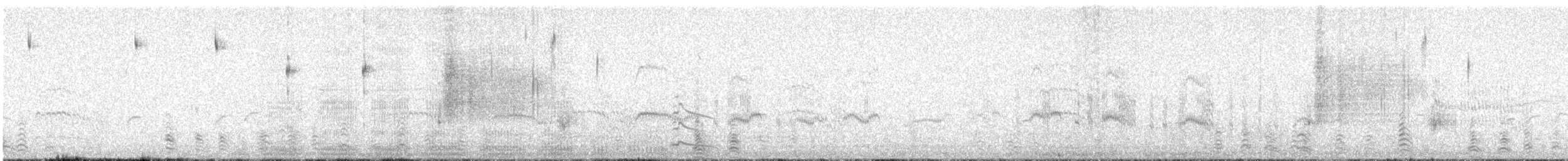 Razorbill - ML638240950