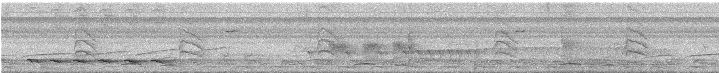 Amazonian Streaked-Antwren - ML638241608