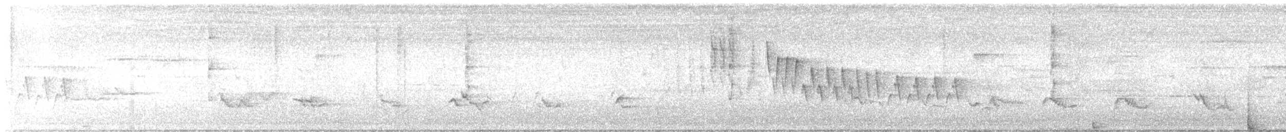 Northern House Wren - ML638242309