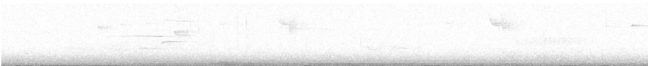 Black-throated Green Warbler - ML638242698