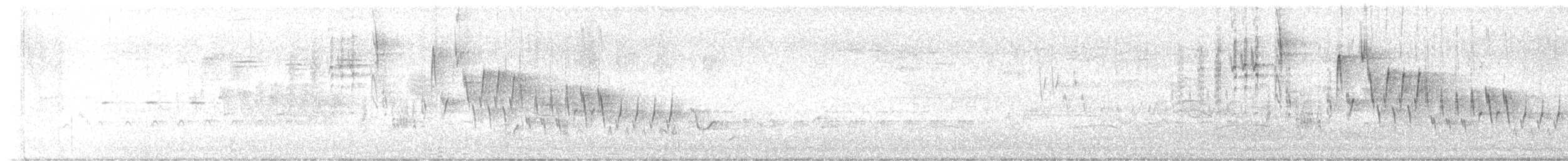 Northern House Wren - ML638242777