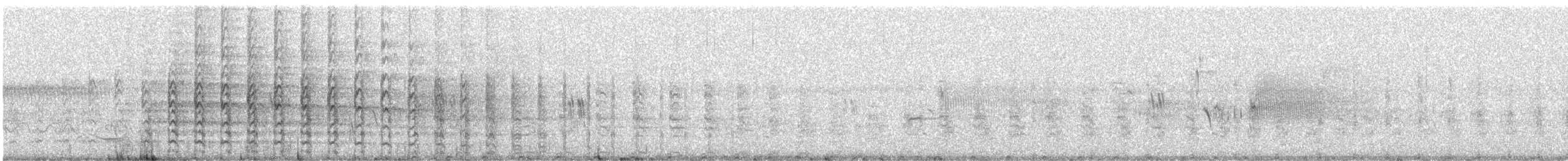 Clapper Rail - ML638243503