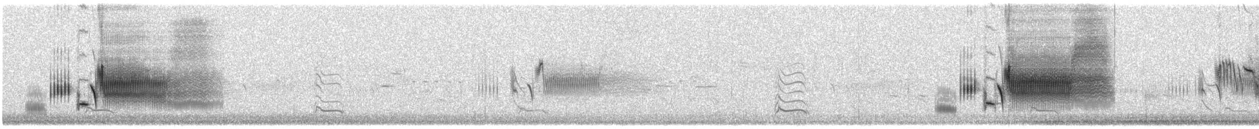 Seaside Sparrow - ML638243824