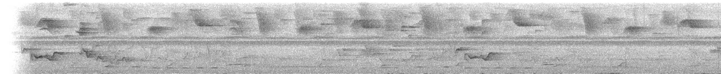 Rufous-and-white Wren - ML638244565