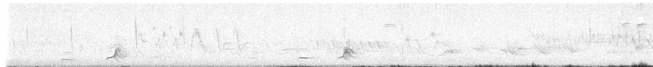 Northern Bobwhite - ML638244981