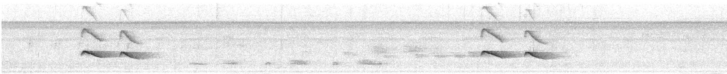Ringed Antpipit - ML638246039