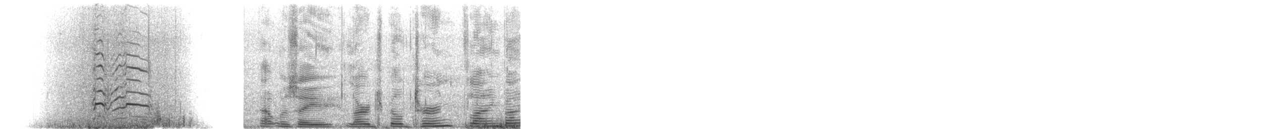 オオハシアジサシ - ML638246658