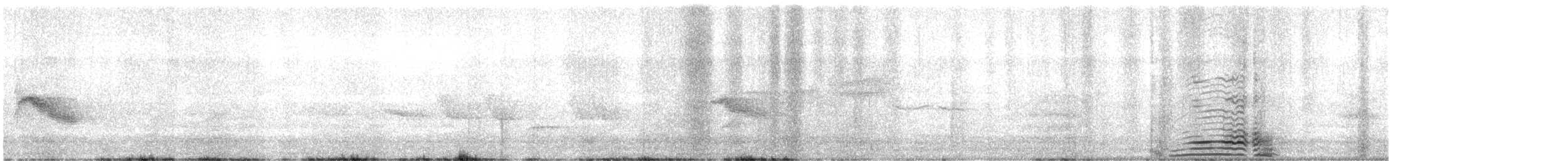 Bicknell's Thrush - ML638248823
