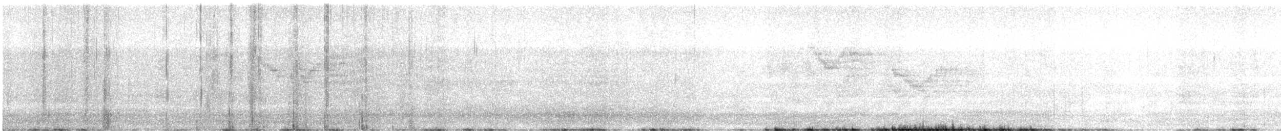 Bicknell's Thrush - ML638248829