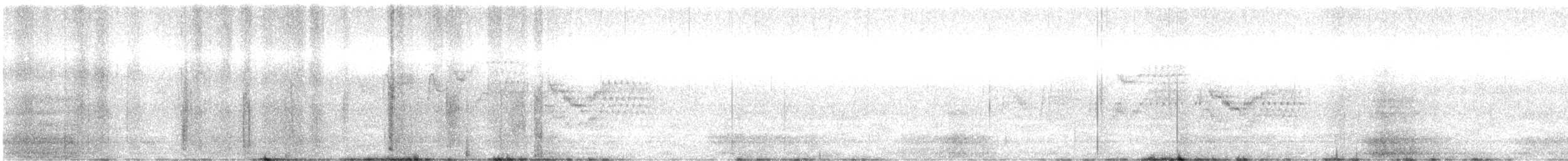 Bicknell's Thrush - ML638248830