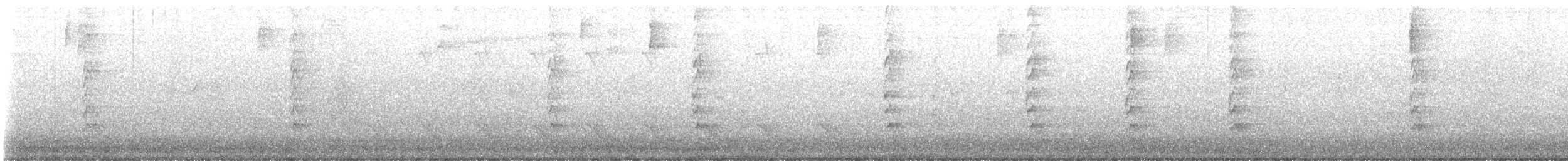 datel portorický - ML638249587