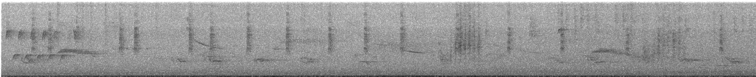 Northern House Wren - ML638250242