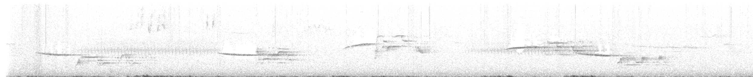 Einsiedler-Musendrossel - ML638250262