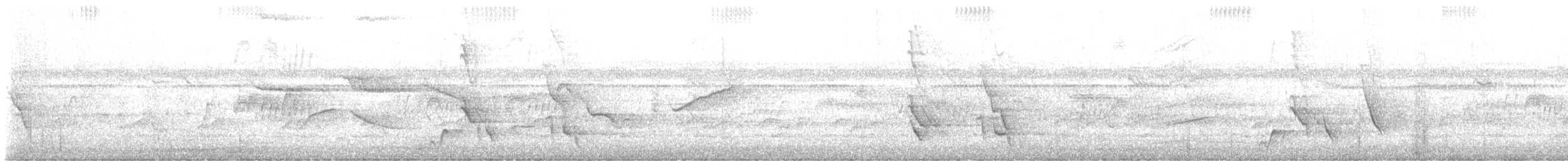 プエルトリコムクドリモドキ - ML638250357