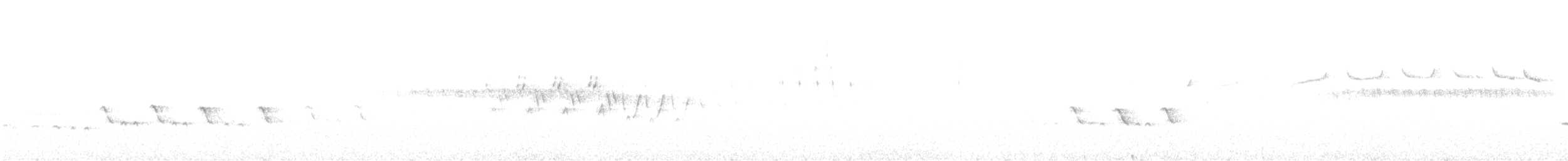 Reyezuelo Rubí - ML638250739