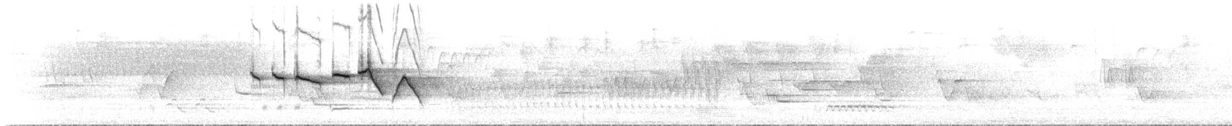 Swainson's Warbler - ML638252174