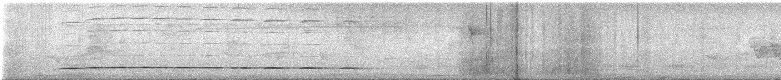 Streak-chested Antpitta - ML638252237