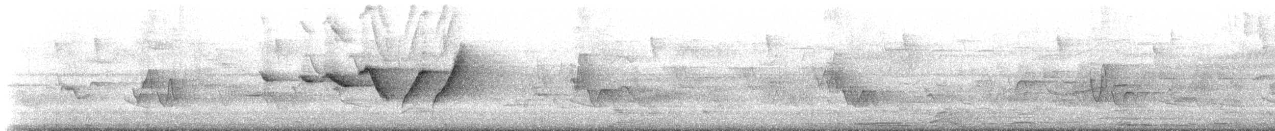 Swainson's Warbler - ML638252449