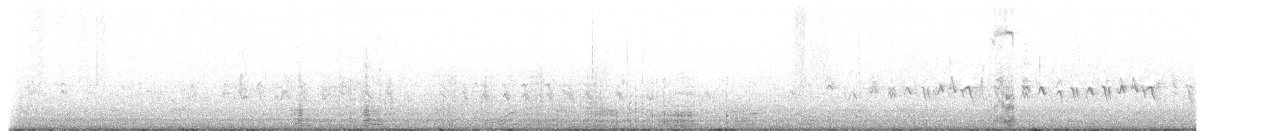 Double-crested Cormorant - ML638253032