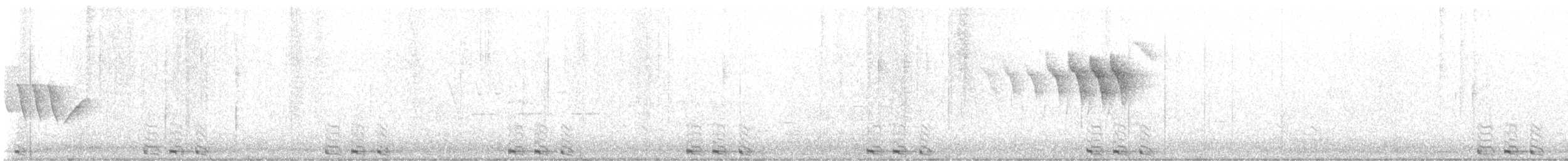 Black-billed Cuckoo - ML638253173