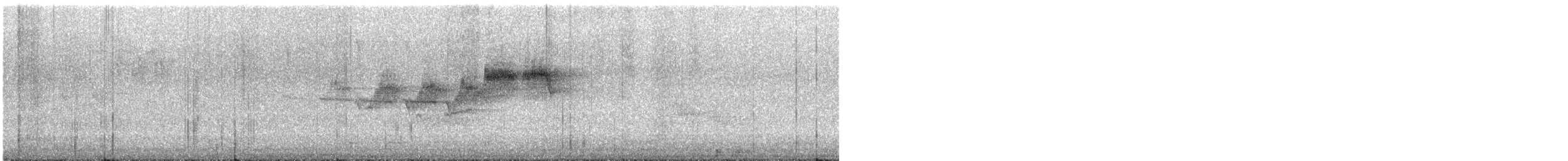 Northern Parula - ML638253383