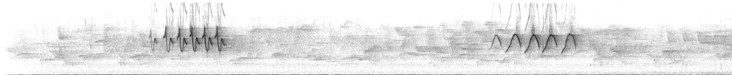 סבכון חכלילי - ML638254431