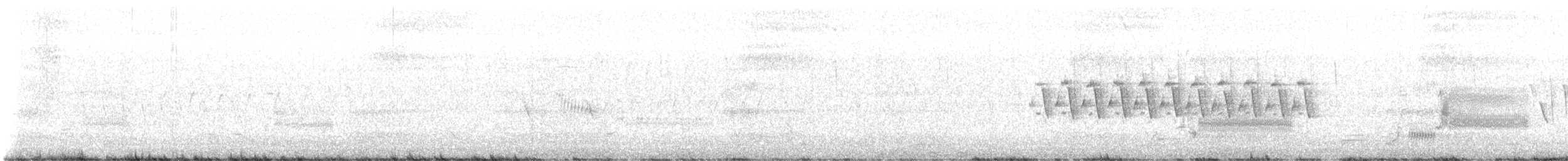 Least Bittern - ML638254437